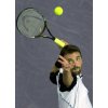 Goran Ivanisevic