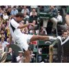 Goran Ivanisevic