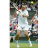 Croatia's Goran Ivanisevic plays a backhand return during his first round match against Russia's Mikhail Youzhny, at the Wimbledon Tennis Championships in London, June 21, 2004. Ivanisevic won 6-3 7-6 6-2. REUTERS/Kevin Lamarque 