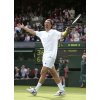 Croatia's Goran Ivanisevic celebrates after defeating Russia's Mikhail Youzhny in their first round match, at the Wimbledon Tennis Championships in London, June 21, 2004. Ivanisevic won 6-3 7-6 6-2. REUTERS/Kevin Lamarque