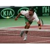 Former Wimbledon champion Goran Ivanisevic
